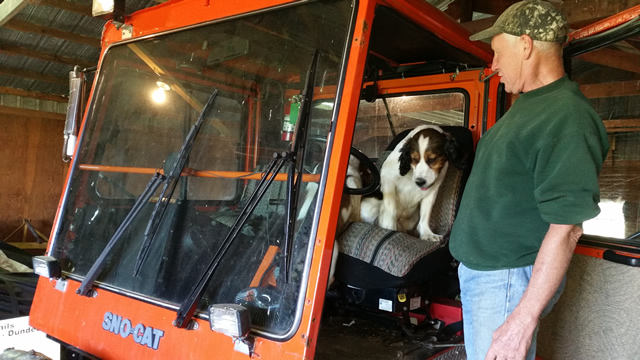 /pictures/Groomer work day2015/20150919_132218.jpg